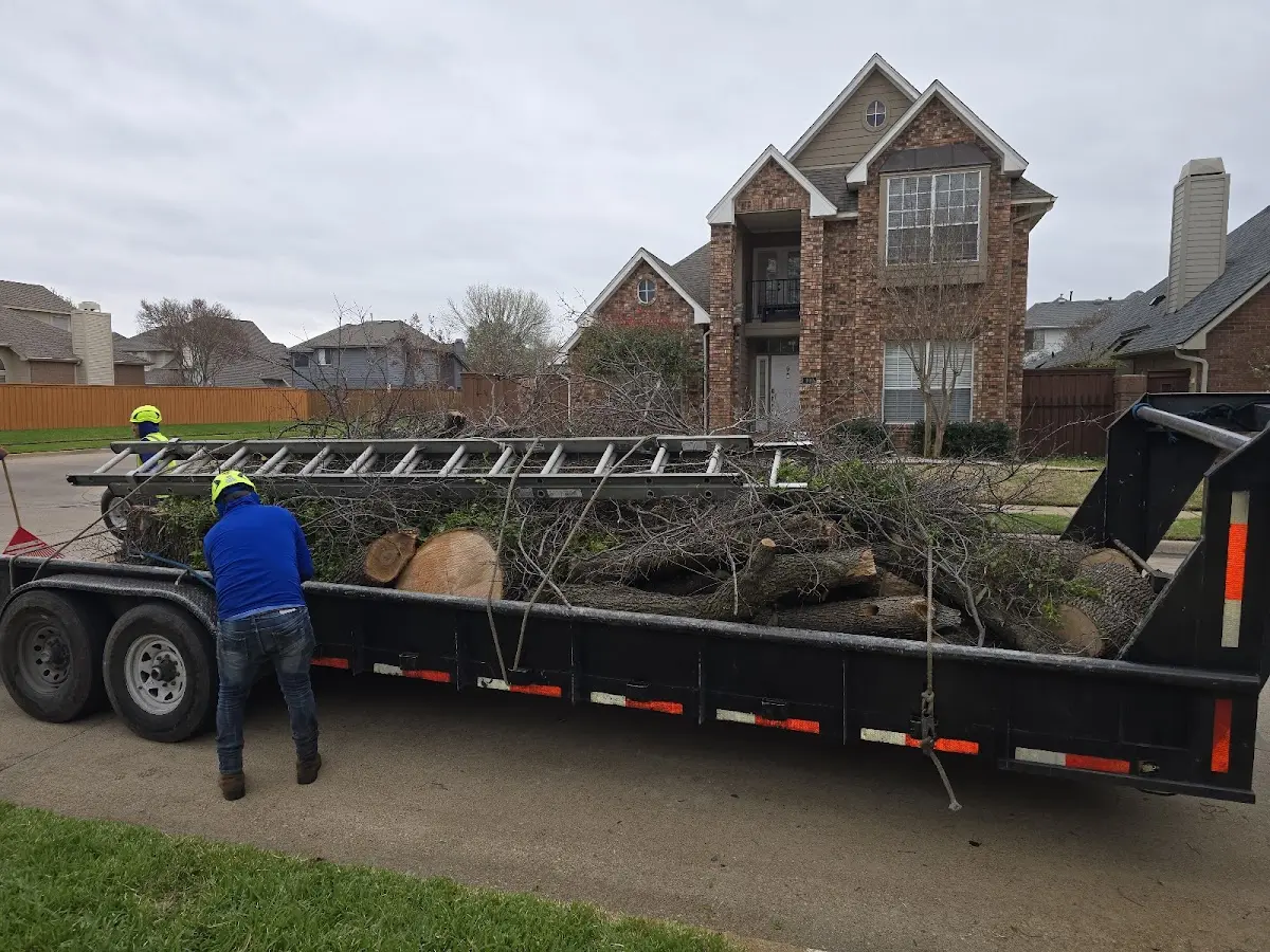 Expert Tree Fertilization with proper safety equipment in Rockland